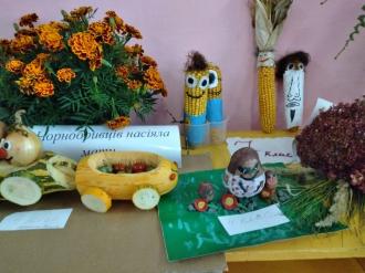 /Files/images/дари осені (5).jpg